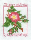 The desert shall rejoice & blossom as the rose